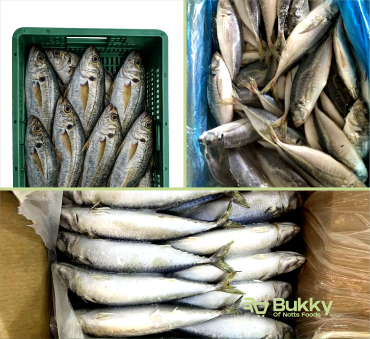 Mackerel box